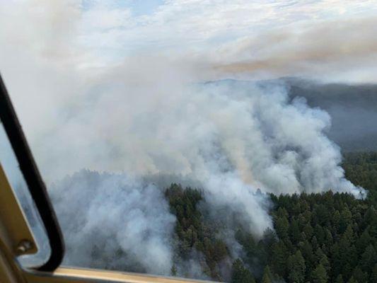 CZU August fires in the Santa Cruz Mountains