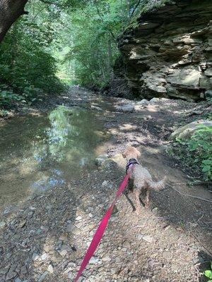 Hollow Oak Land Trust