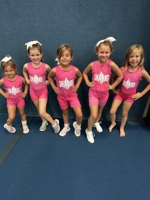 Join our TINY PUP non-travel beginner team! Ages 4-6