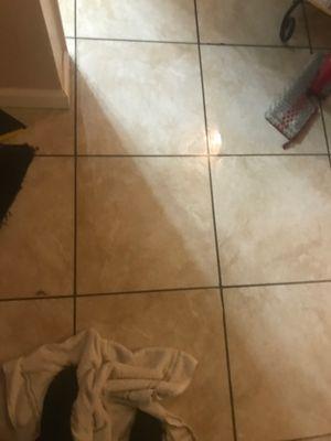 Had to place towels on my floors daily from the ceiling leaking