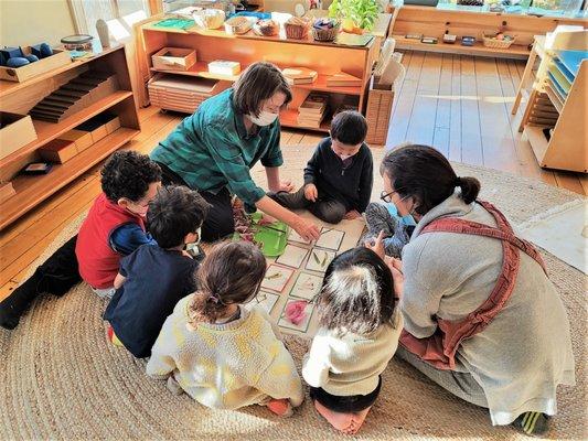 Children exploring the parts of the flower