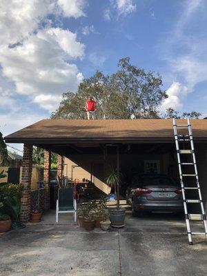 Another Roof Inspector assisting a home owner in Winter Park with her wind damaged roof