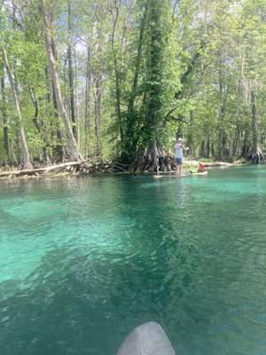 Silver Springs, The Salty Paddle