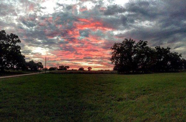 Sunset just outside Schneider hall.