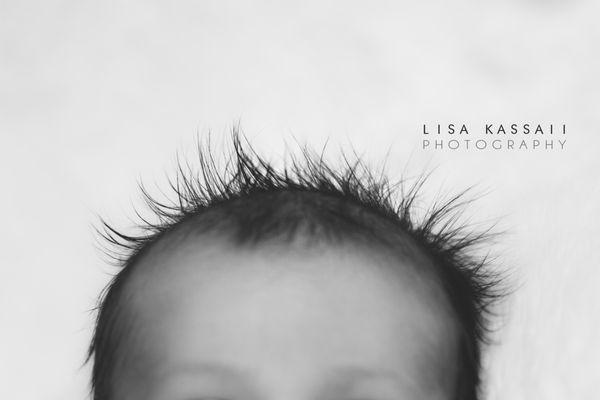 Lisa Kassaii Newborn Photographer