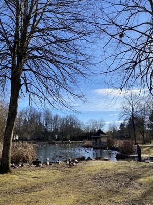 Gazebo view