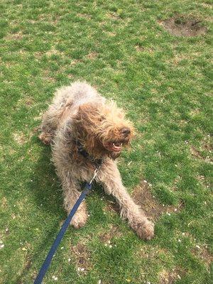 Every day is fun at daycare!