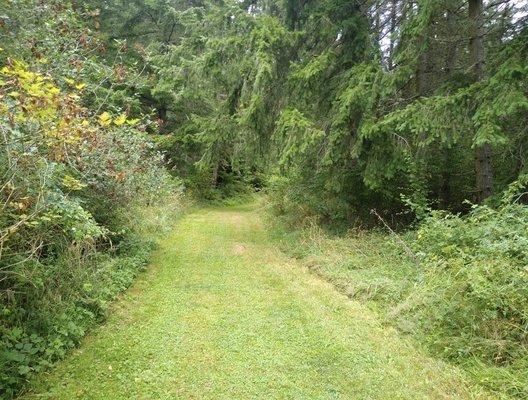 Trail for horses, peds & bikes