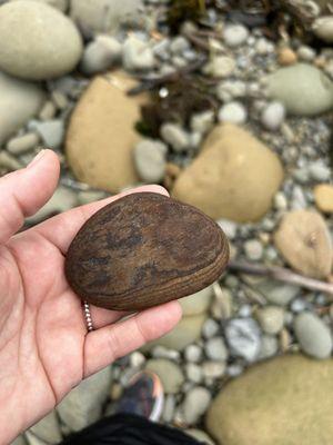 Petrified wood