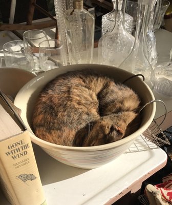 antique batter bowl or cat bed?