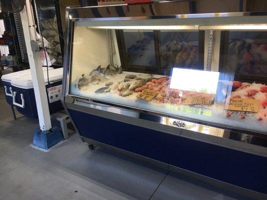 Fish counter