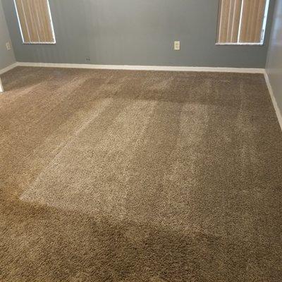 Carpet steamed and well done.