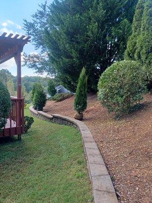 Phase 1 of the back bed planting privacy trees thujas and emerald green arborvitaes.