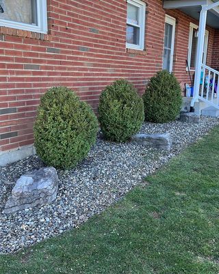 We gave this stone bed a crisp new edge and gave these boxwoods a clean trim!