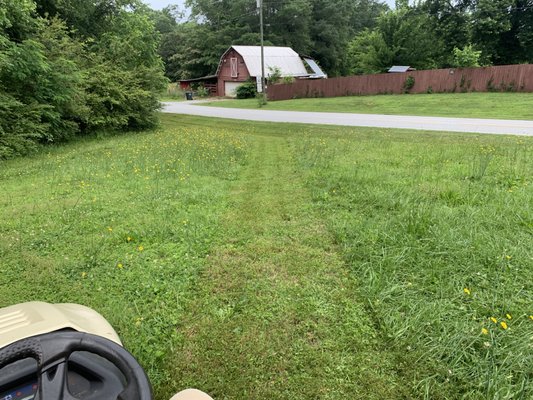 Overgrown field grass cut.