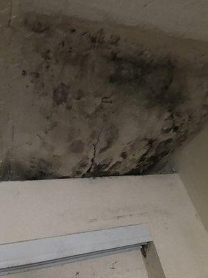 Mold caused ceiling to cave in