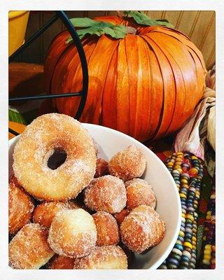 Apple Cider Donuts