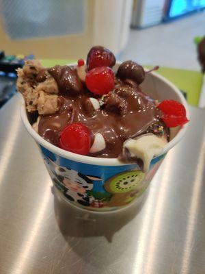 Frozen yogurt at menchies