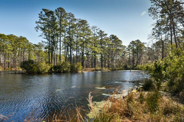 Conservation land in the ACE Basin, South Carolina