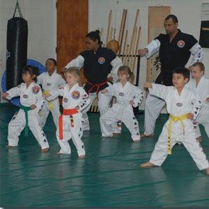 North American Taekwondo & Hoijeon Moosool Academy