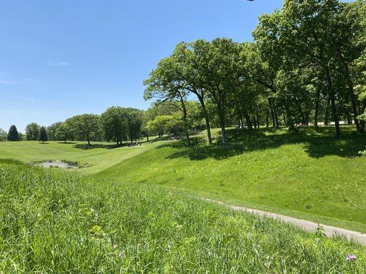 Looking toward 8 fairway from 11 tee box