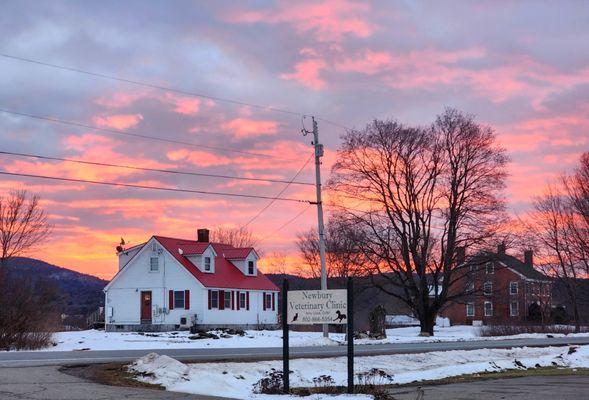 Newbury Veterinary Clinic