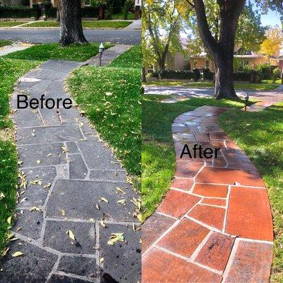 Before and After Results of our Residential Pressure Washing Services.