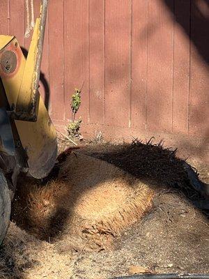 Stump grinding