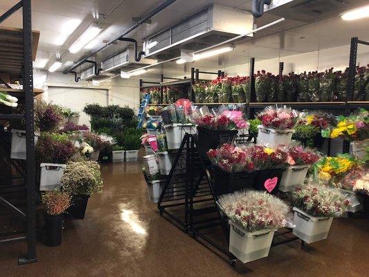 Farm-fresh flowers, wholesale to the public.