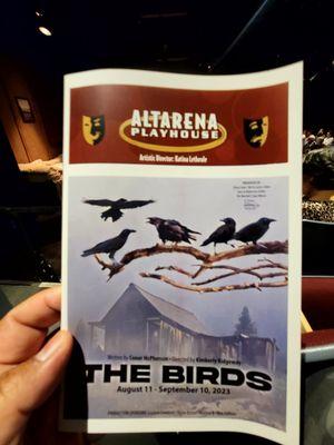 Theatrical performance of The Birds on 9/10/23