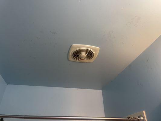 Mold on the ceiling, dirty fan