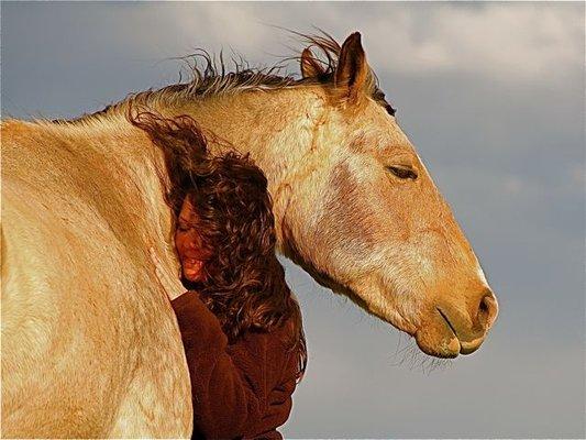 We partner with horses for the exploration of self- awareness, connection to self & nature, and to gain new perspectives on life.