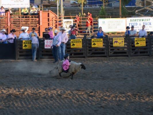 Mutton Bustin' - Vancouver Rodeo