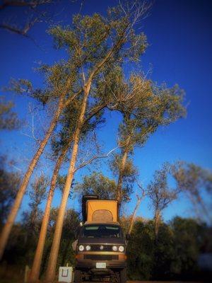 Camping under the Cottonwoods