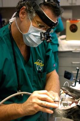 Dr. Luskin performing a patient dental procedure