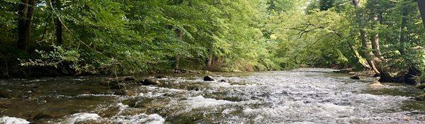 Every room opens out onto Cosby Creek in the Smoky Mountains