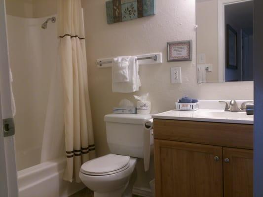 Guest bathroom