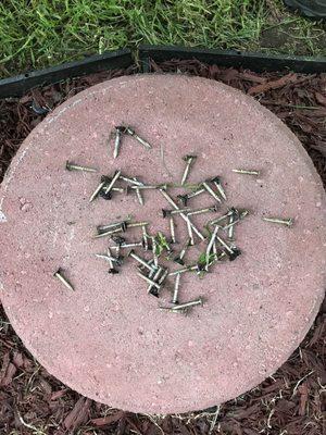 Nails in my yard from the crew working on my neighbor's roof