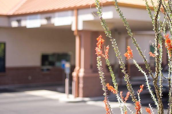 Pima Federal Credit Union