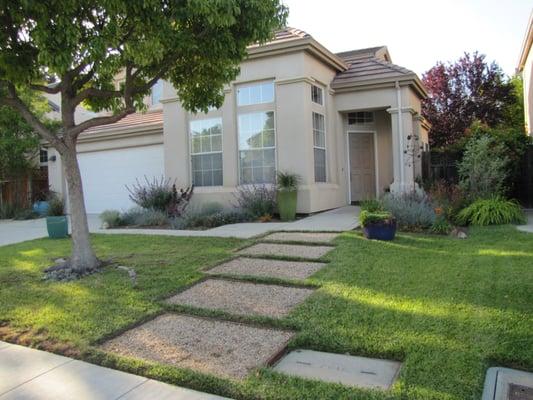 Front yard garden, next phase replace lawn. Sunnyvale, CA