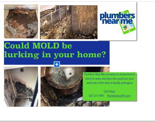 Don't let leaks ruin your home call us today!