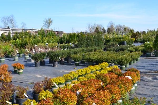 12 Acres of Trees, shrubs, annuals and perennials.