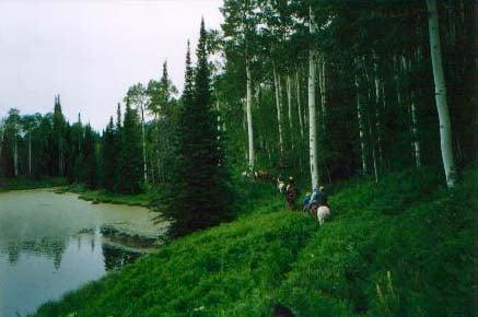 One of the many lakes to stop and have lunch and throw in a line