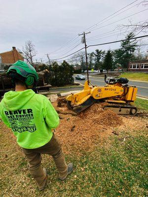 Stump grinding