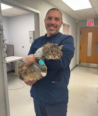 Dr Ammeraal caring for one of his feline patients