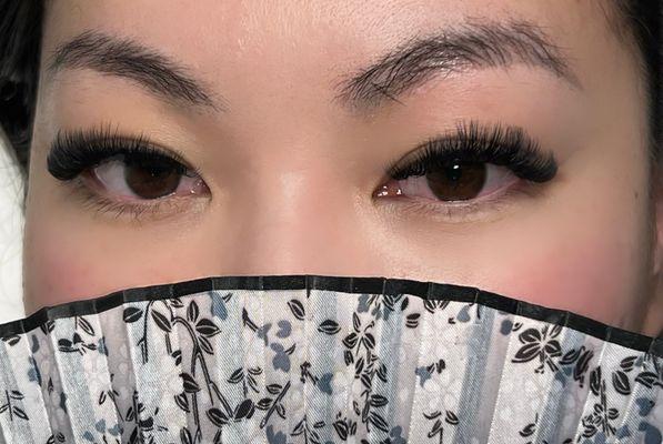 Volume Doll Eye Lash Extensions