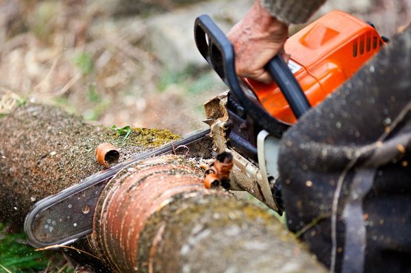 County Tree Service