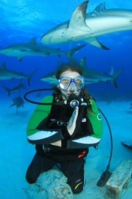 Nassau, Bahamas shark dive.