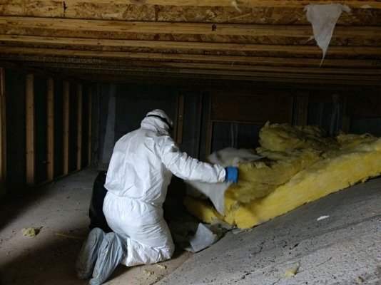 We provide pest remediation services as well! Call us today for your crawl space or attic cleaning!