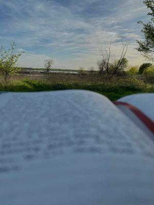 A bench nearby the marsh area. Perfect spot for joirnaling!